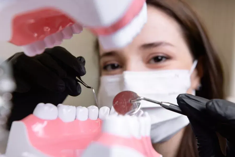 Dentista explicando la salud de las encías con un modelo dental